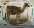 Cairo Camel Needle Felting Kit