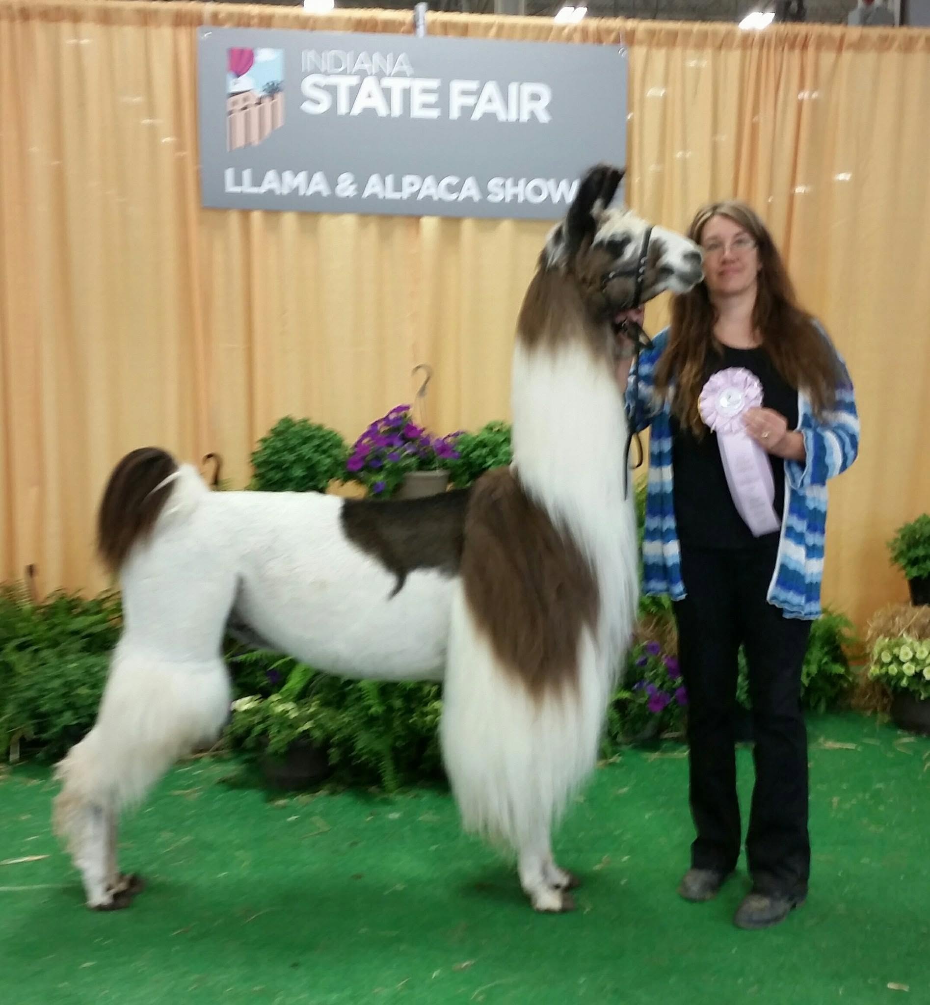 Halle's Comet — Hand-Spun 100% Llama Worsted Yarn