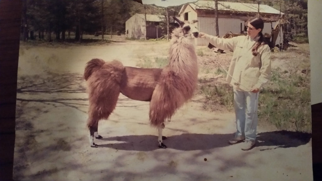 MS Hallelujah! — Hand-Spun 100% Llama Aran Yarn