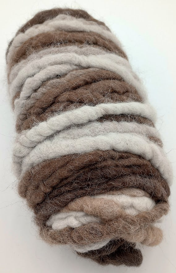 Variegated #105 — Alpaca & Suri Llama Rug Yarn | Pablo, Advice & Ms. Tea