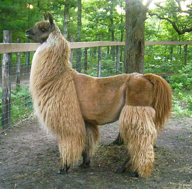 Riyal — Hand-Spun Natural Llama Yarn