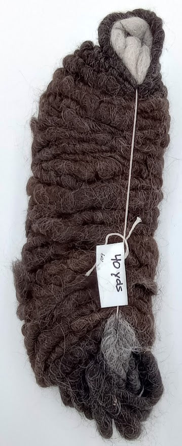 Variegated #109 — 100% Llama Rug Yarn | Farm Blend