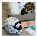 Woolbuddy Sheep Felting Kit